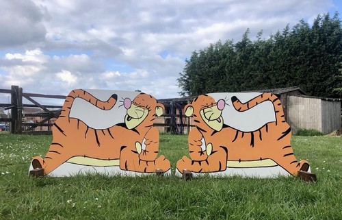 Showjump fillers 50cm - fillers, tigger