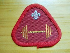 VINTAGE - HEALTH & FITNESS - SCOUT BADGE - NEW