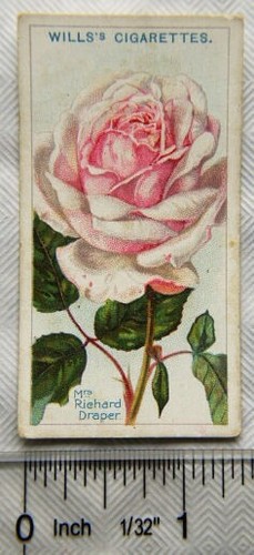 1914 wills roses 2nd - wills, series