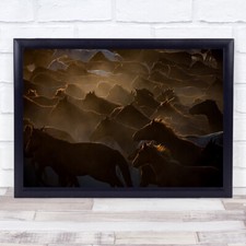 Golden Horse Light Action