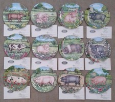ROYAL DOULTON - PIGS IN BLOOM
