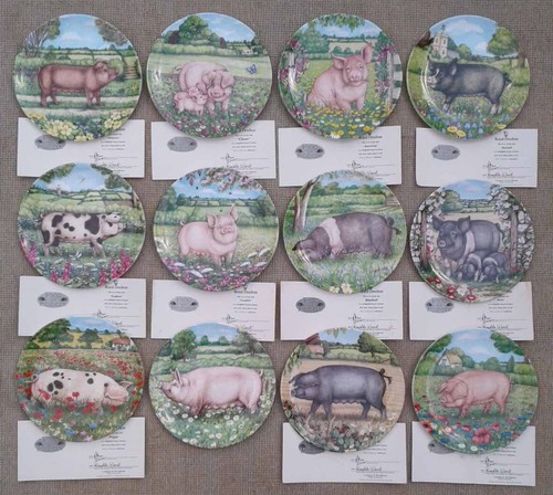 Royal doulton pigs - -,
