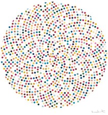 Damien Hirst Signed Print /