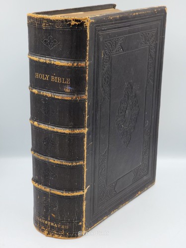 The holy bible collins - the,