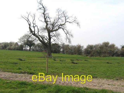 Photo 6x4 ridge and - 6x4, furrow