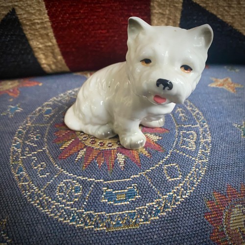Vintage white westie dog - vintage,