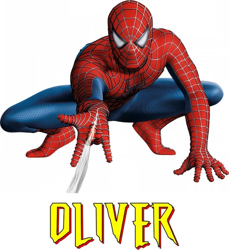 Custom personalised spider man - custom,