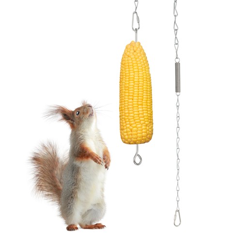 Hanging squirrel feeder - squirrel,