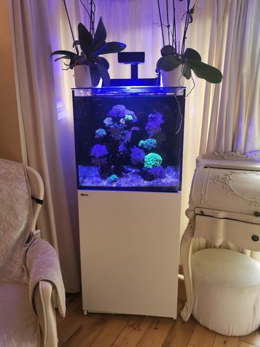 Redsea e170 marine reef - redsea,