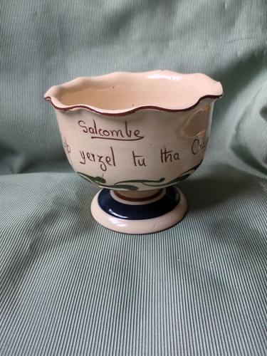 Aller vale salcombe elp - vale,