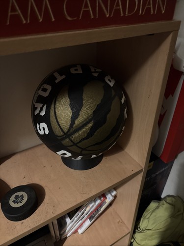 Spalding toronto raptors - spalding,
