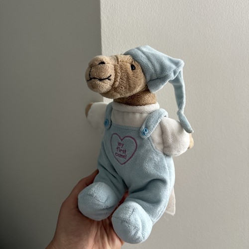 First 1st camel - 1st,