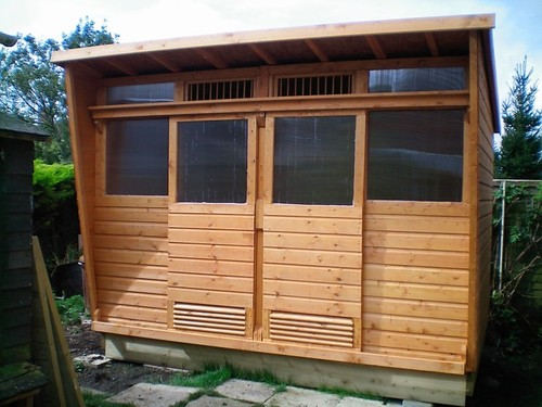Pigeon loft two - x, 6