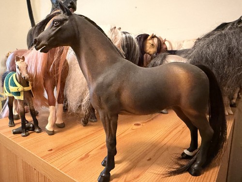 Magpie model horse - horse, arab