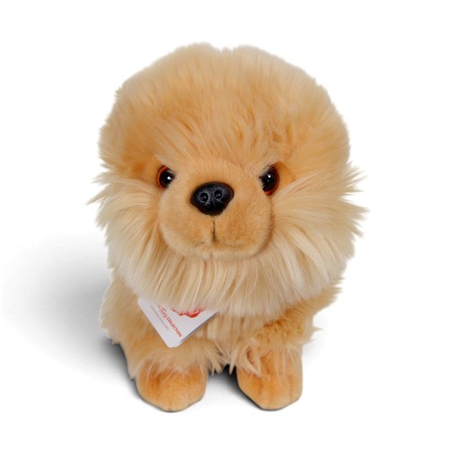 Teddy hermann pomeranian puppy - pomeranian,
