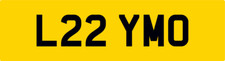Stretch limo short - limo,