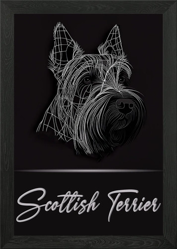 Scottish terrier portrait - terrier,