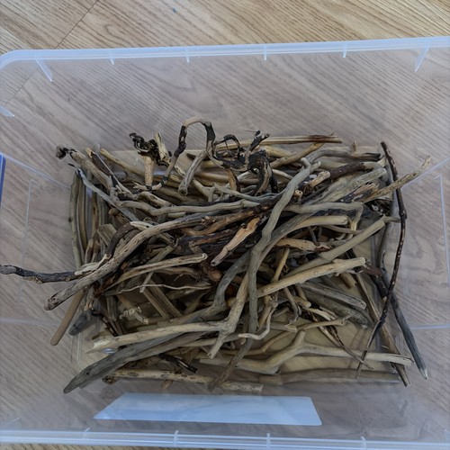 Driftwood pieces decorative - pieces,