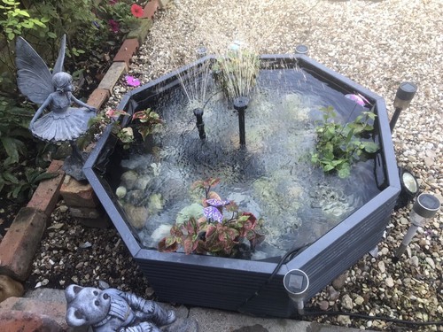Raised garden pond octagonal - raised,