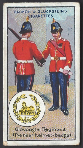 Salmon gluckstein - salmon,