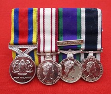 Qeii court mounted - x,
