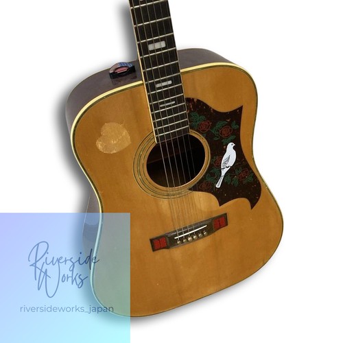 Acoustic guitar - acoustic,