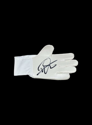 Edwin van der sar signed - sar,