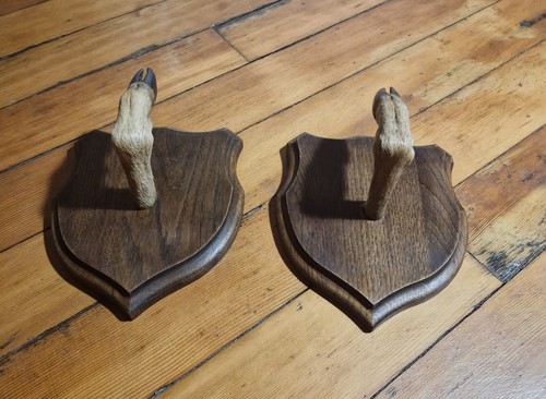Scottish roe deer hooves - scottish,