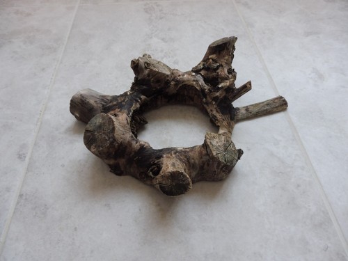 Natural Driftwood Branch??