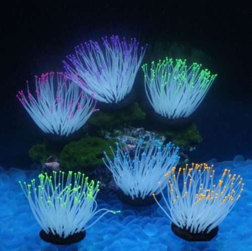 Aquarium fish tank luminous - fish,