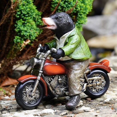 Motorbike mole biker resin - motorbike,