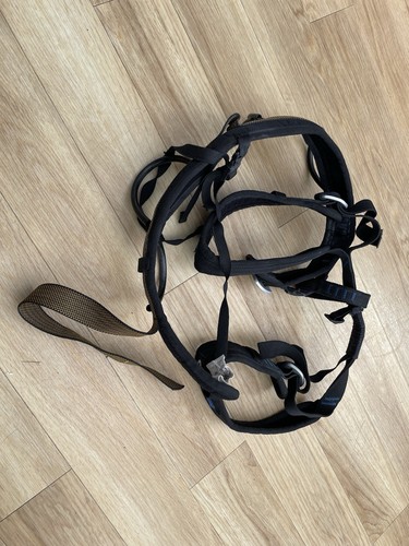 Rock climbing harness - rock,