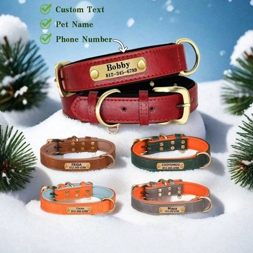 Personalised dog collar soft - personalised,