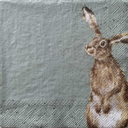 Cocktail paper napkins for - 2, x