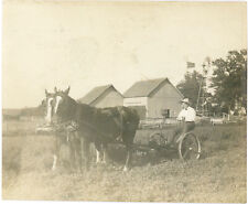 Farmer Driving Horse Drawn Farm Equipment Antique Snapshot Photo Animal Team 77