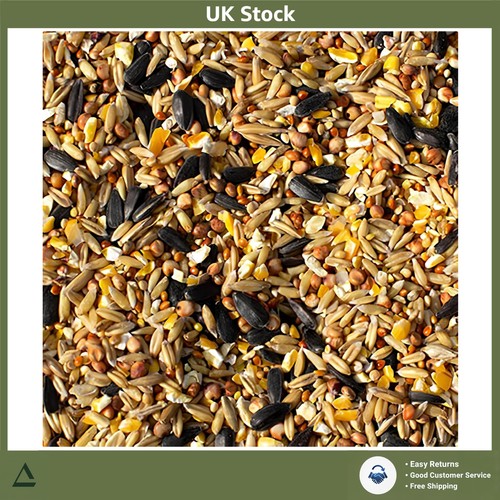 Wheat wild bird seed - seed, mix