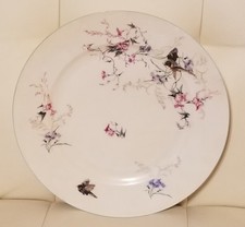 Antique Haviland Limoges China