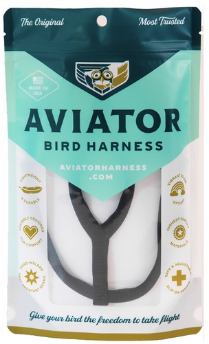 The aviator parrot - aviator,