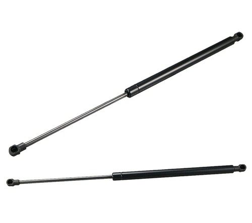 Tailgate boot gas struts - tailgate,