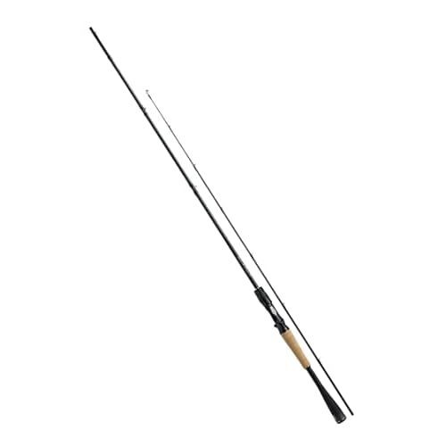 Daiwa baitcasting rod - baitcasting,