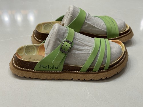 Betula birkenstock bright - by,