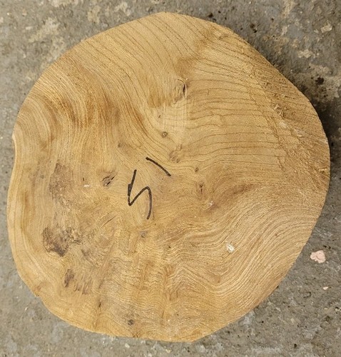 Timber scottish burr elm - timber,