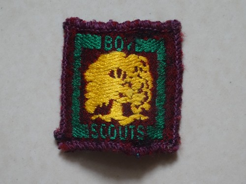 Senior scouts proficiency - senior,