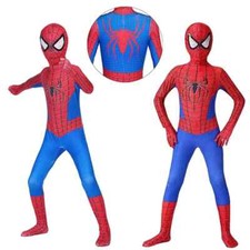 Amazing Spiderman Adult Boys