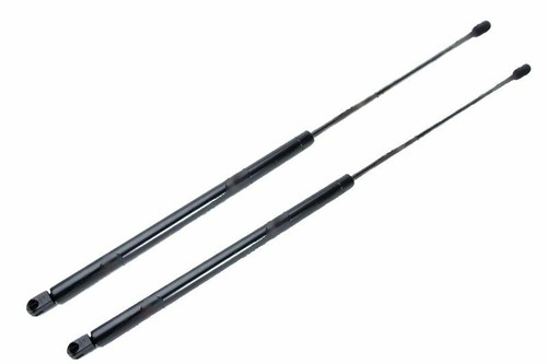 Trunk tailgate strut - tailgate, x2