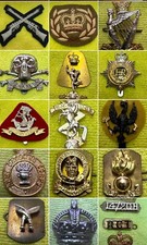 Military Badges 14x - British