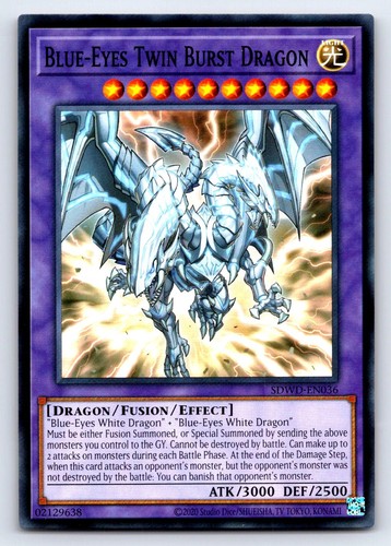 Blue eyes twin - blue-eyes, dragon
