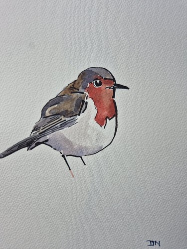 Robin ink watercolour - robin,