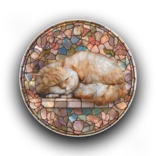 Exotic Shorthair Cat Sleeping