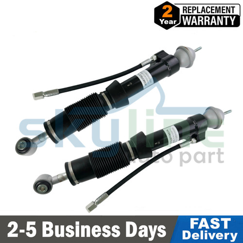 Pair rear hydraulic - rear, shock